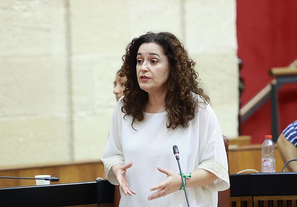 La actual portavoz parlamentaria de la coalición Por Andalucía, Inmaculada Nieto.