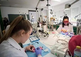 Alumnos de FP, en una imagen de archivo.