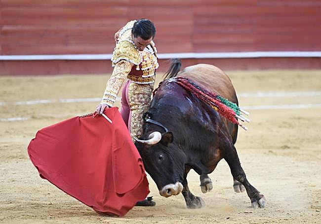 Juan Ortega torea a su primero con la derecha.