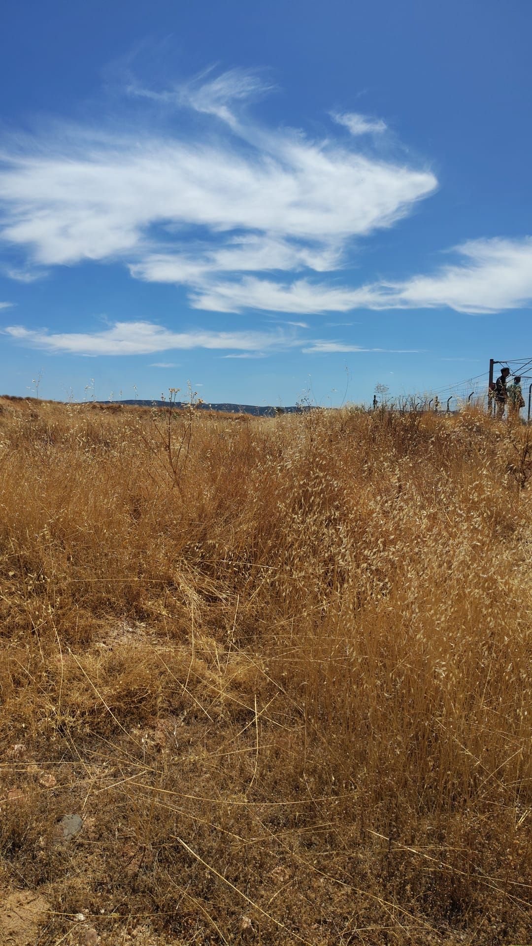 210 pasajeros desalojados del tren incendiado que conecta Almería y Granada con Madrid