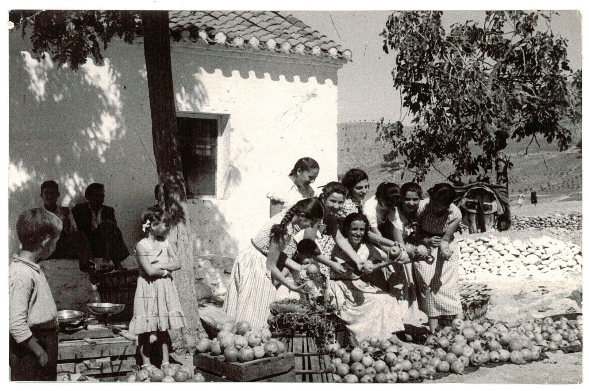 Unas chicas venden unos frutos de otoño en el cerro del Aceituno