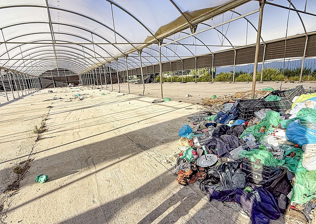 Imagen secundaria 1 - La vida de los temporeros en Ventas de Zafarraya.