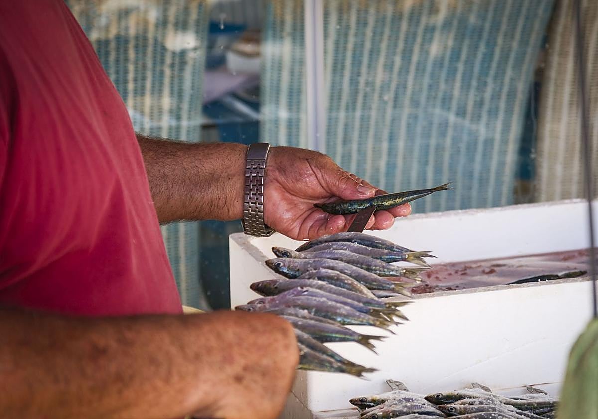 Foto de archivo de un chiringuito de la Costa de Granada.