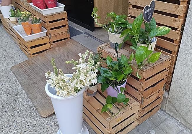 Nardos en la puerta de Nerine Arte Floral.