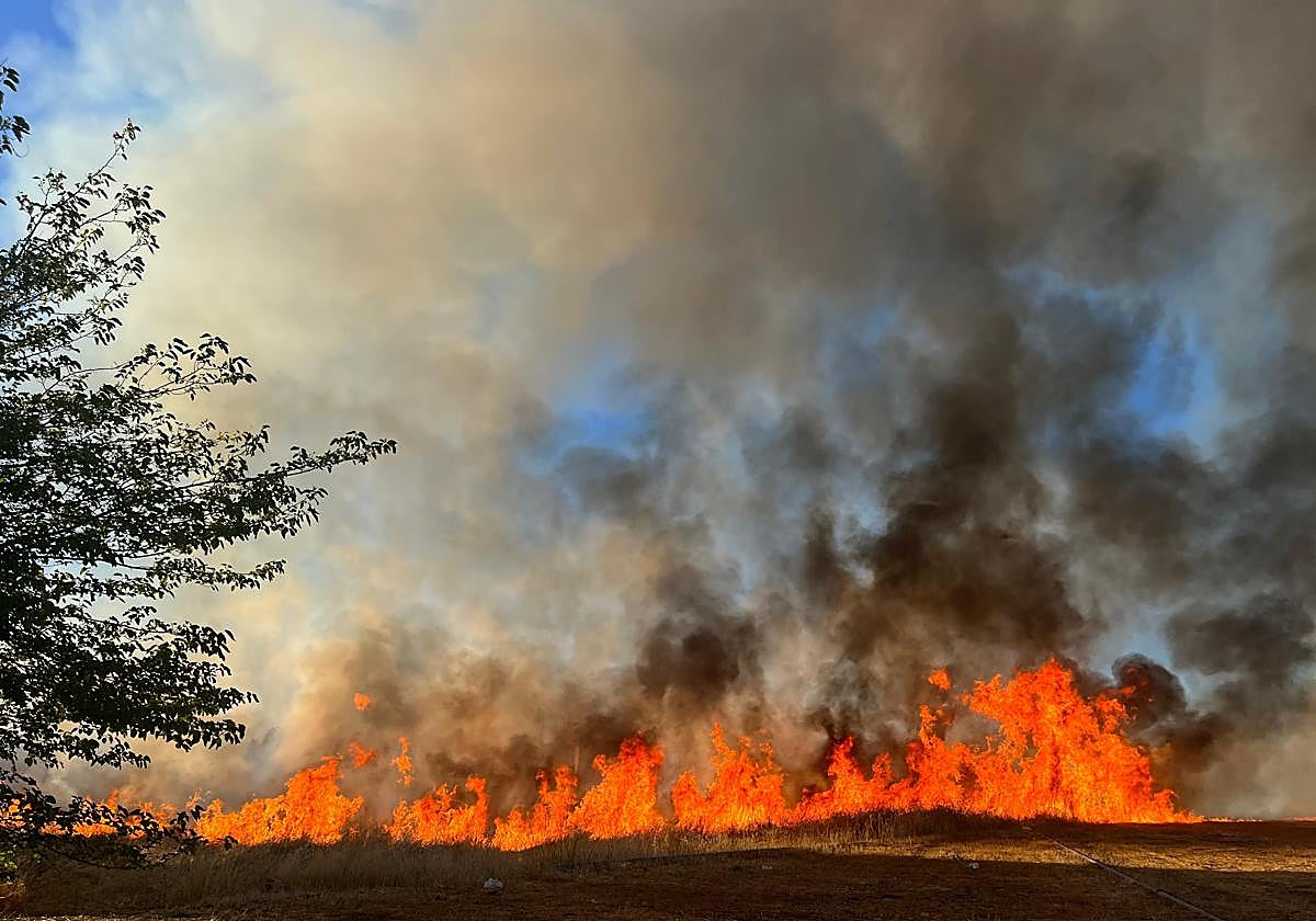 Las imágenes del incendio