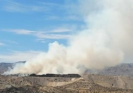 Los ecologistas denuncian el incendio de la planta de reciclaje por su potencial toxicidad