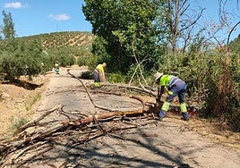 Inicio de las obras.