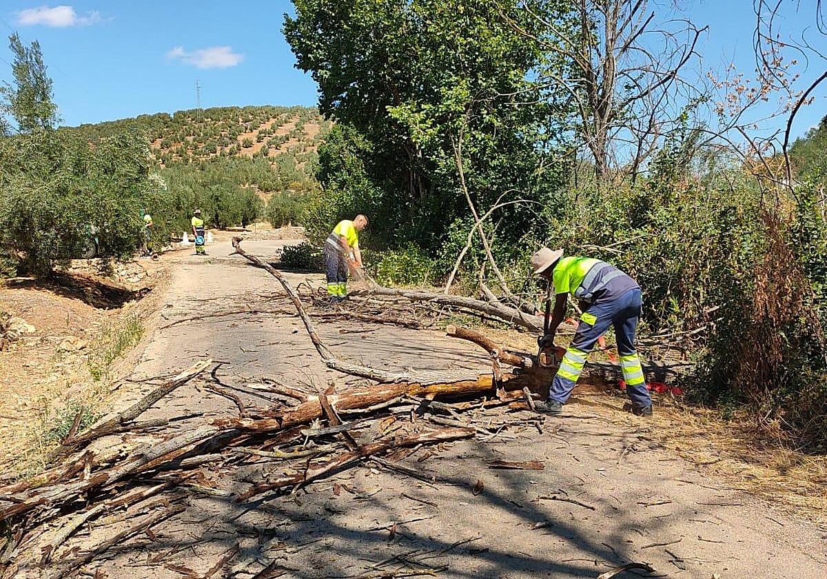 Inicio de las obras.