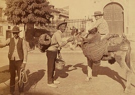 Granada en una fotografía del archivo de la Biblioteca de la Universidad de Harvard.