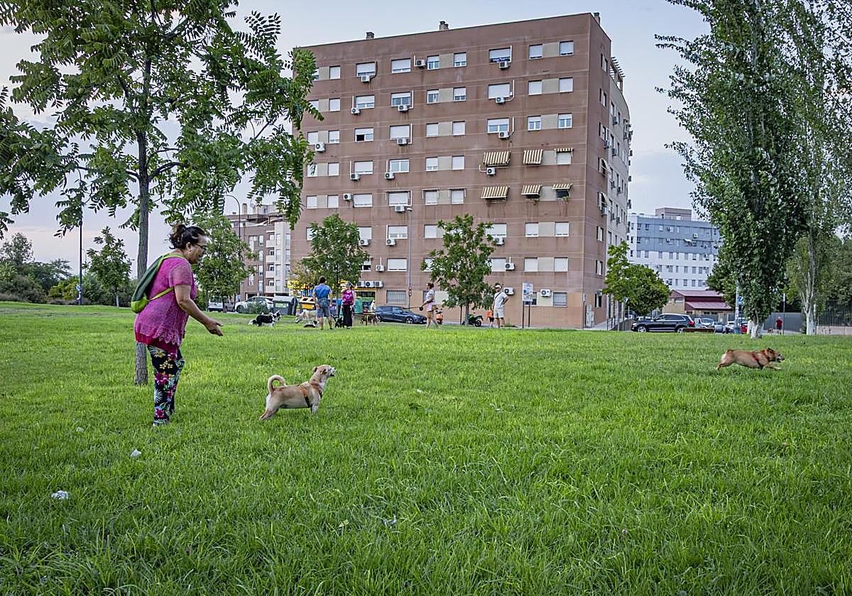 Las temperaturas caen en Granada a partir del martes.