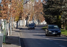 Paseo de Cartuja.
