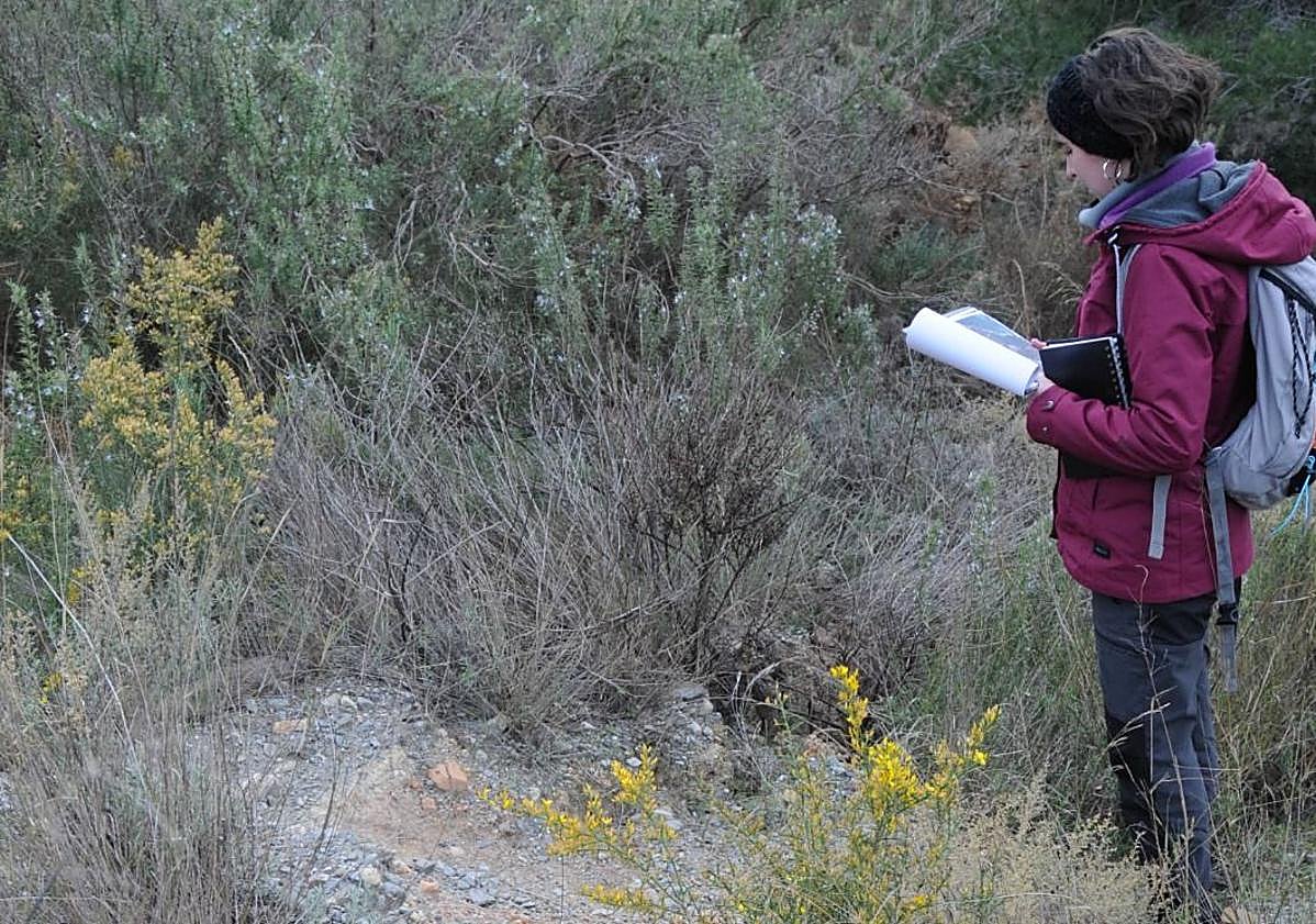 Imagen principal - El profesor Jorge Pedro Galve y Cristina Reyes, que hizo la tesis doctoral sobre el tema, observando socavones y grietas en el entorno del viaducto en el año 2019.