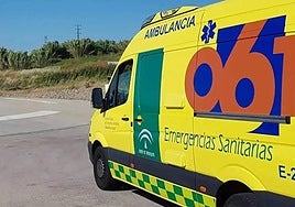 Una ambulancia del 061.
