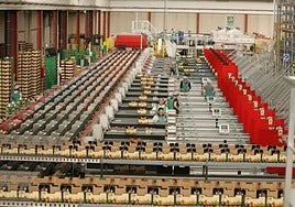 Imagen de archivo de las instalaciones de una cooperativa almeriense.