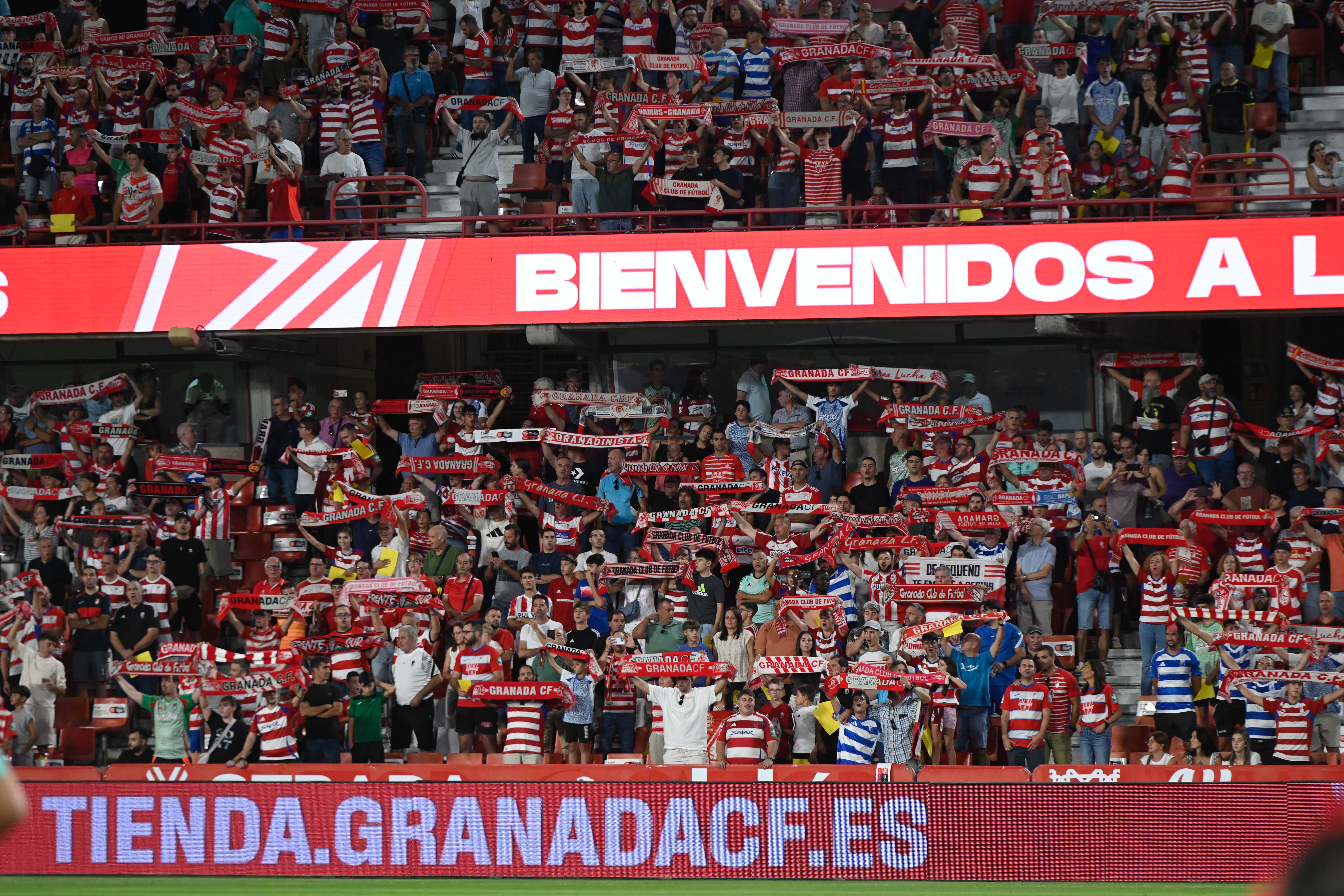 Búscate en la grada del Granada-Leganés