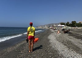 Una socorrista advierte a los bañistas del cierre de la playa de Carchuna en el mes de agosto, por tercera vez.