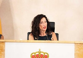 El Pleno debate este lunes las anualidades del futuro contrato de limpieza viaria y playas