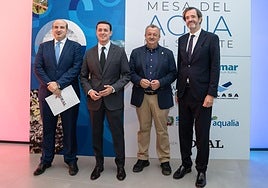 La Diputación expone su modelo de gestión hídrica en la Mesa del Agua del Sureste en Pulpí, de la mano de IDEAL