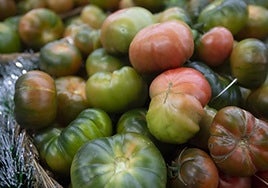 Almería es una potencia en la exportación de tomates a Europa.