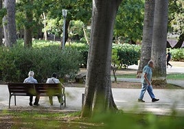 Un economista explica cómo cobrar una pensión de 564 euros sin haber cotizado.