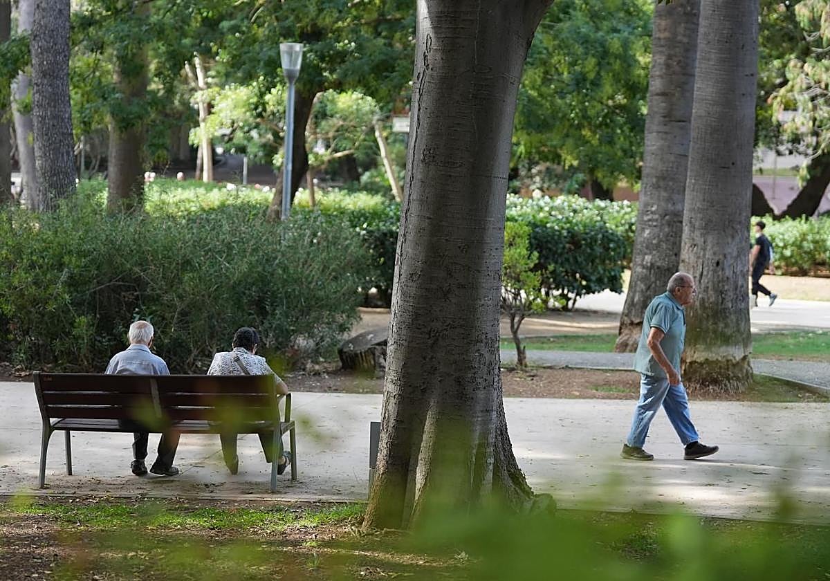 Un economista explica cómo cobrar una pensión de 564 euros sin haber cotizado.