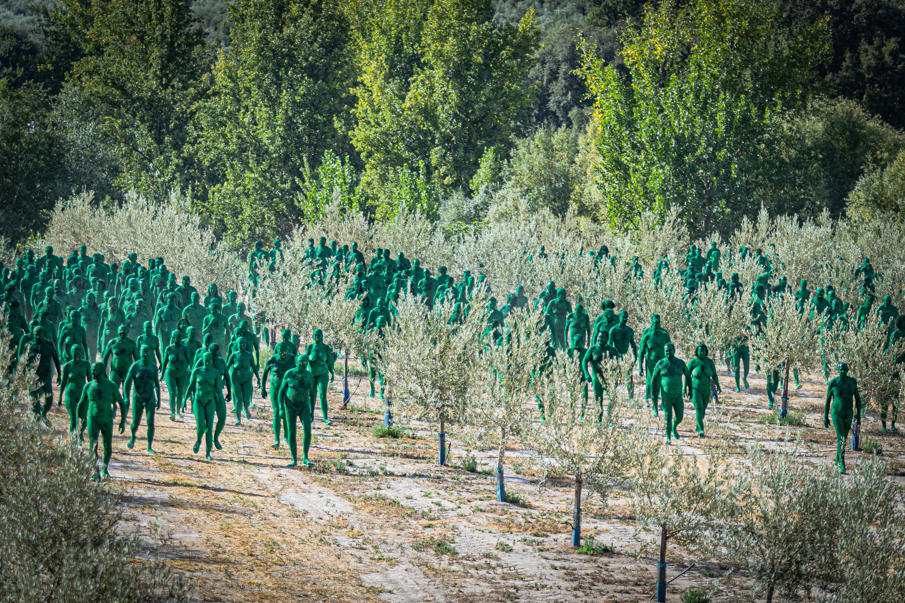 Las imágenes de los desnudos verdes en Granada