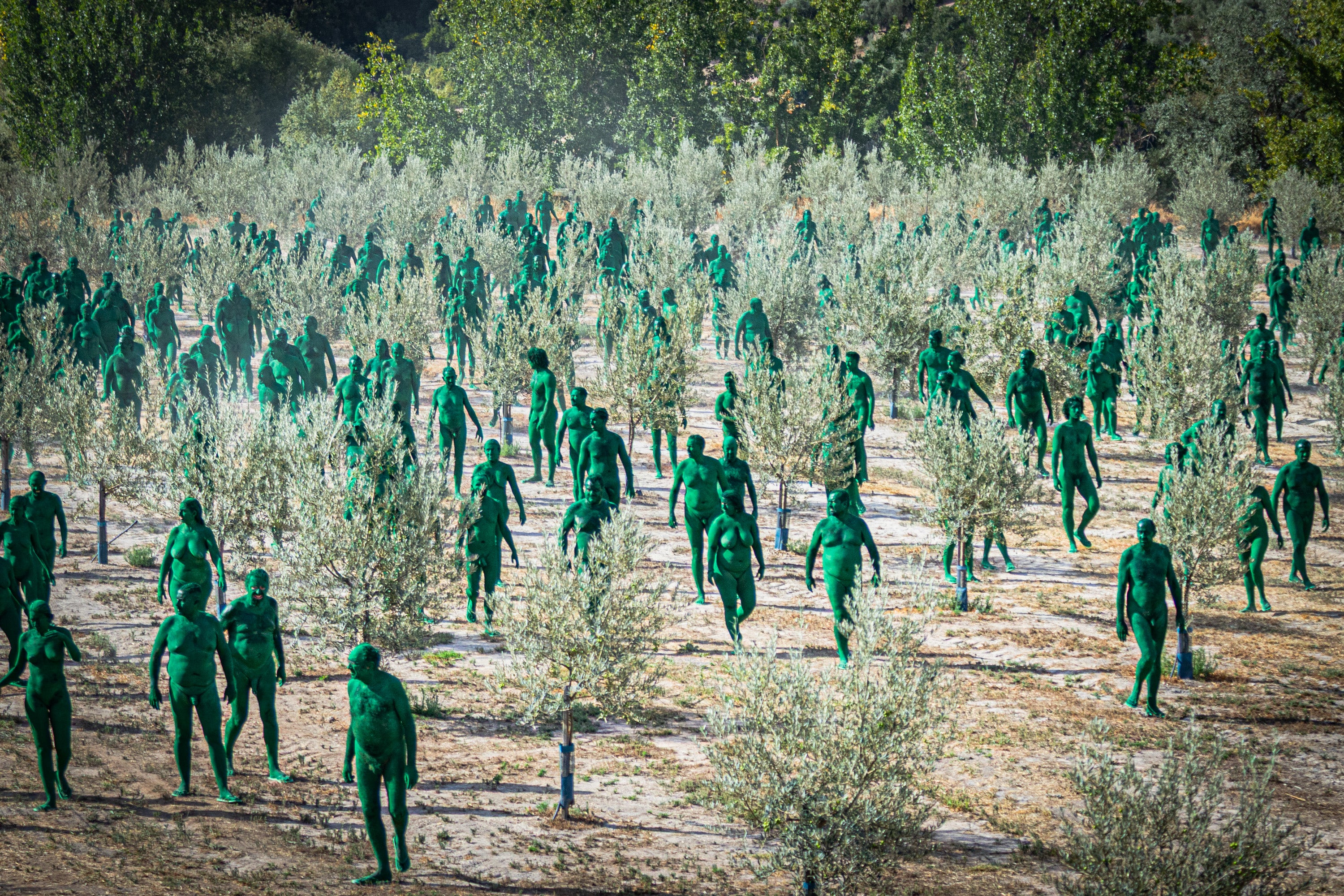 Las imágenes de los desnudos verdes en Granada