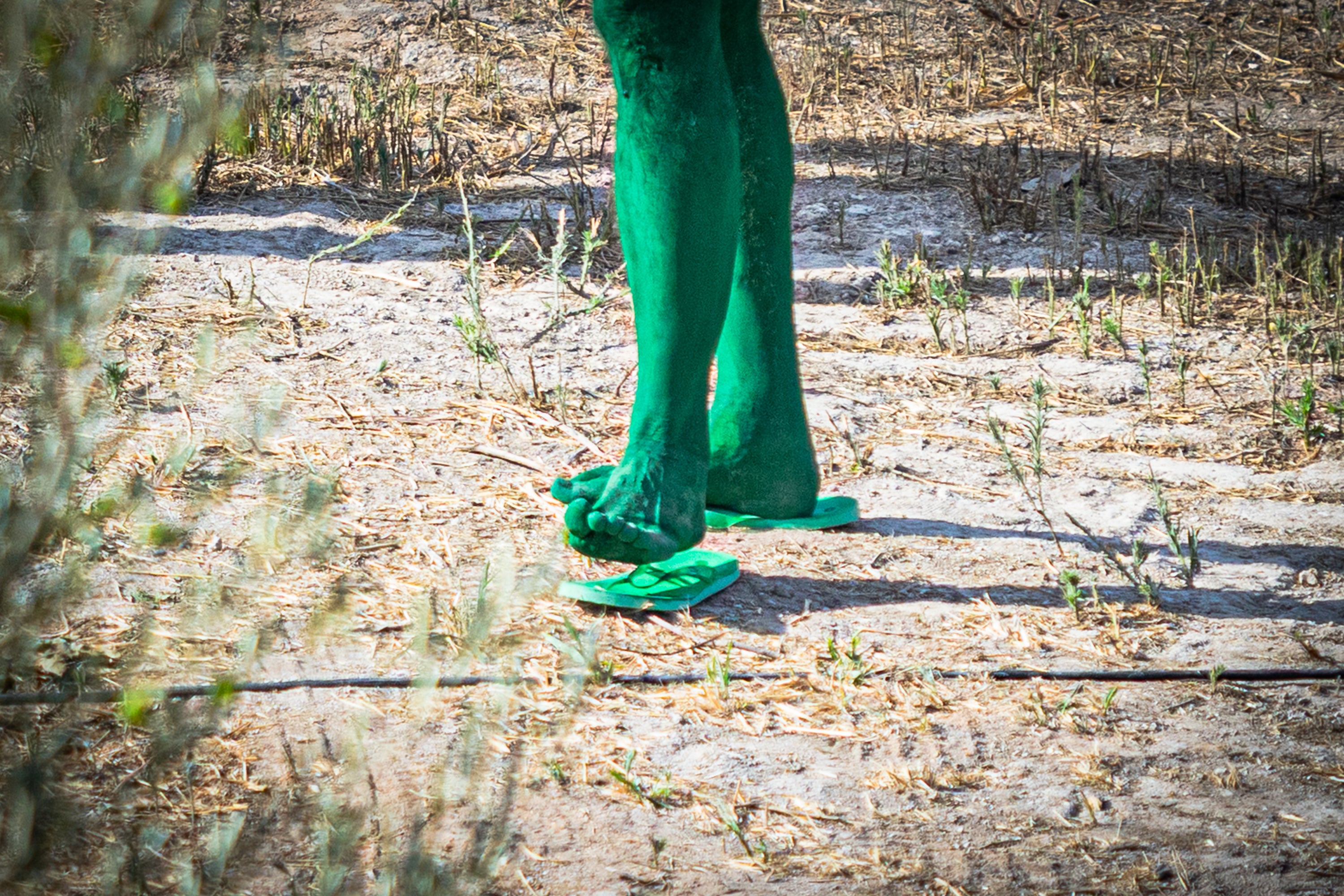 Las imágenes de los desnudos verdes en Granada