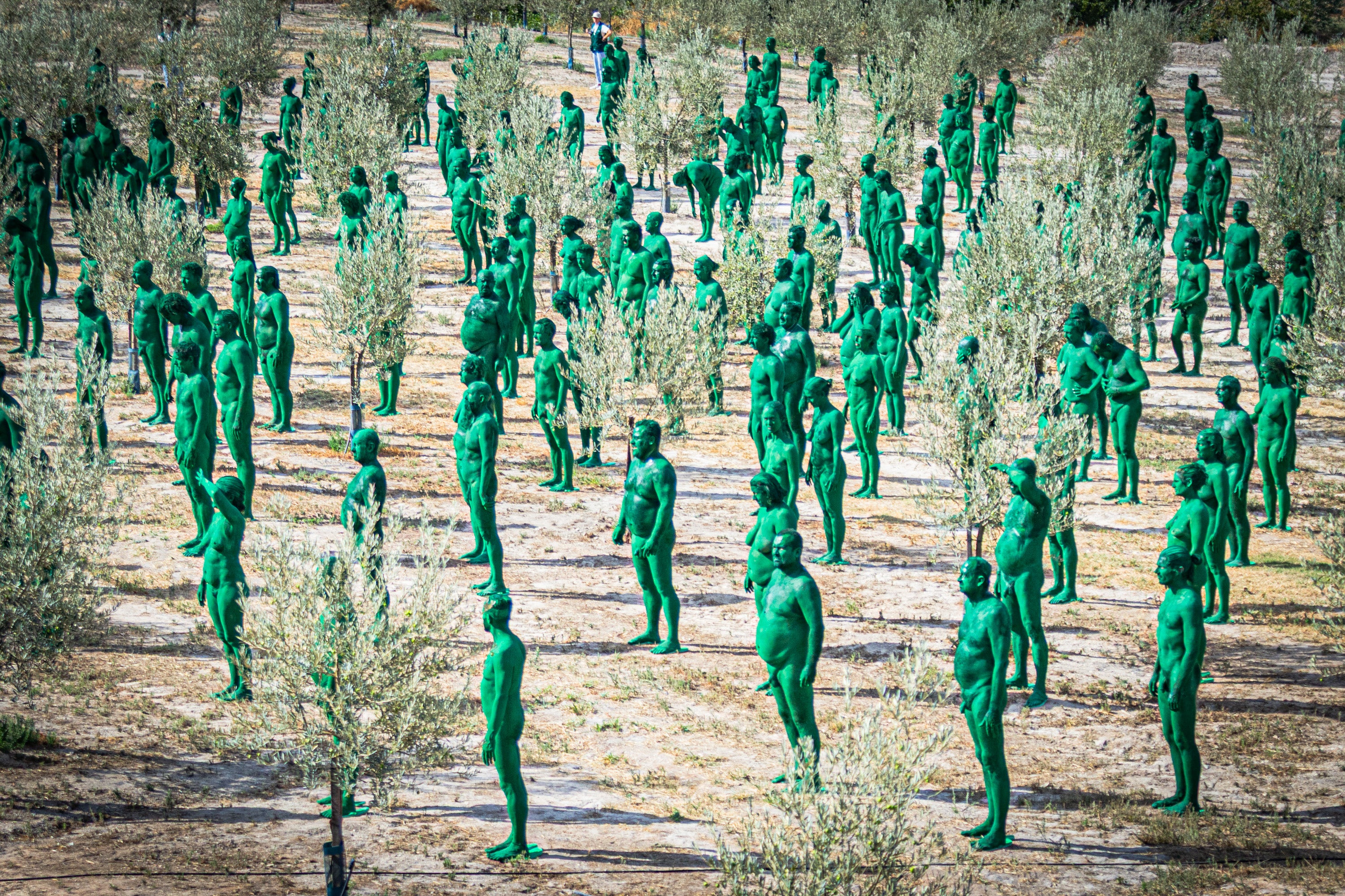 Las imágenes de los desnudos verdes en Granada