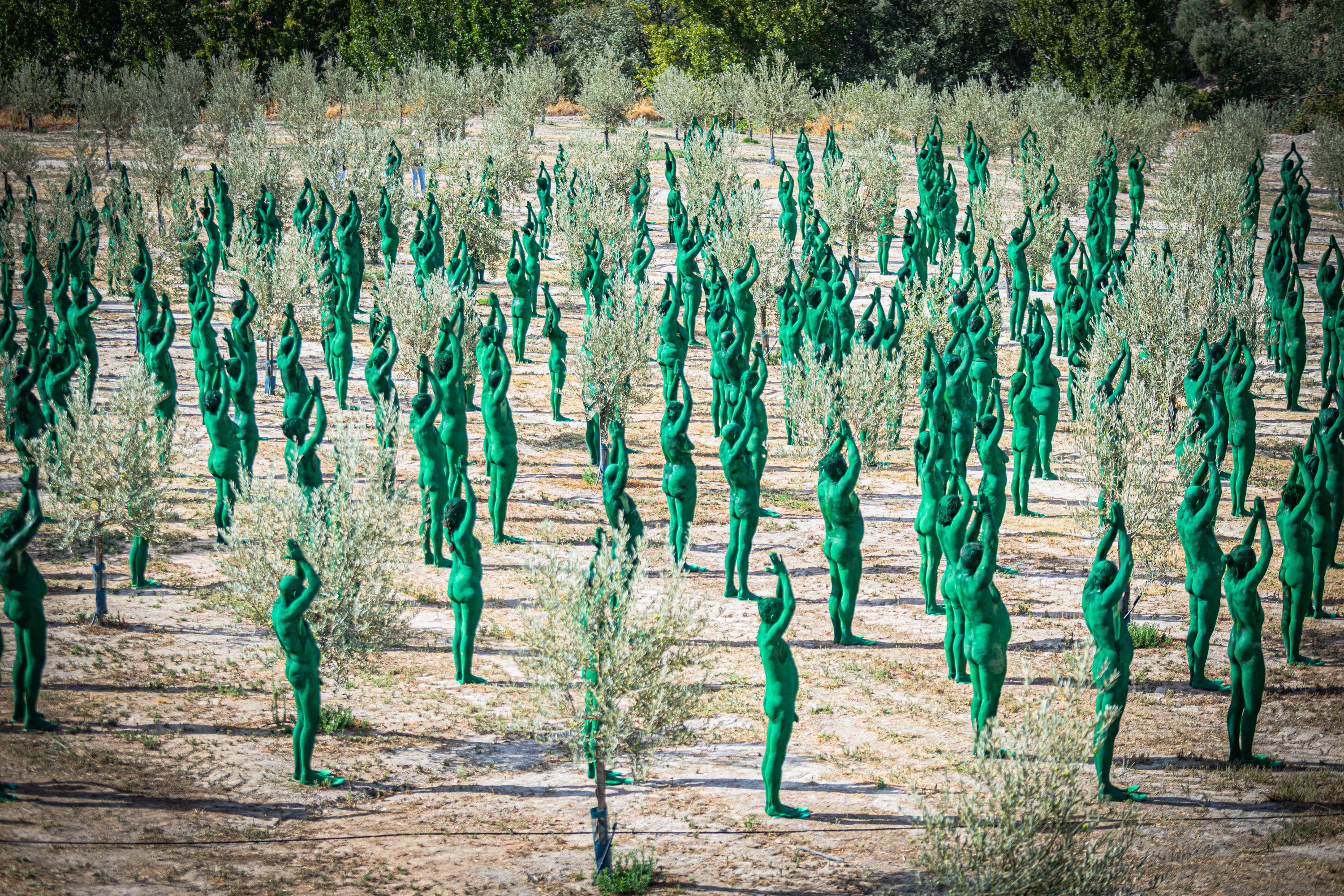 Las imágenes de los desnudos verdes en Granada