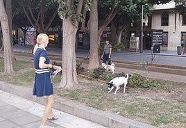 Dos mujeres pasea sus perros por la Rambla de Almería.