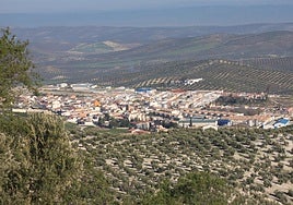 Vista de Fuerte del Rey.