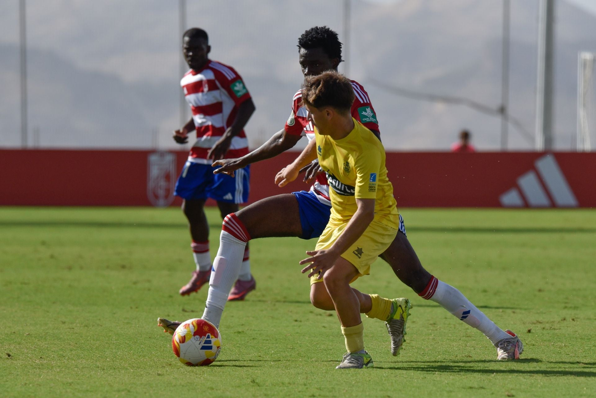 Las mejores imágenes del Recreativo Granada - Huétor Tájar
