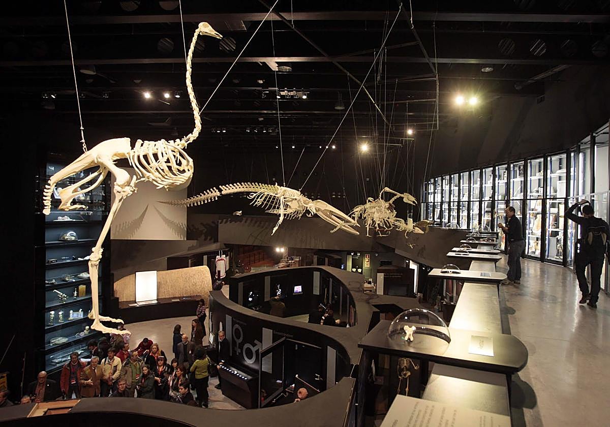Una exposición en el Parque de las Ciencias de Granada.