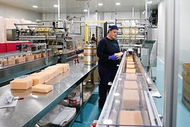 La línea de producción de esponjas para Mercadona en la fábrica de Jalsolsa.