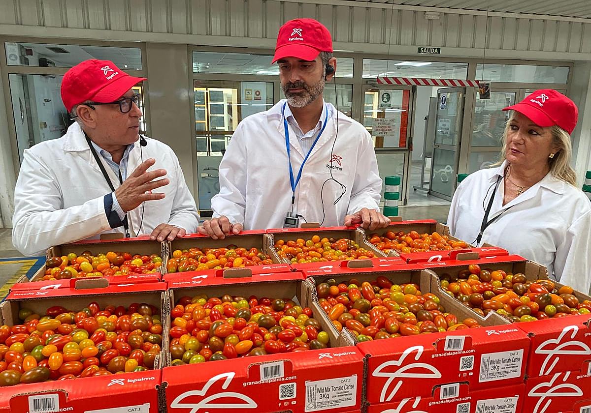 El consejero de Agricultura en la cooperativa La Palma.
