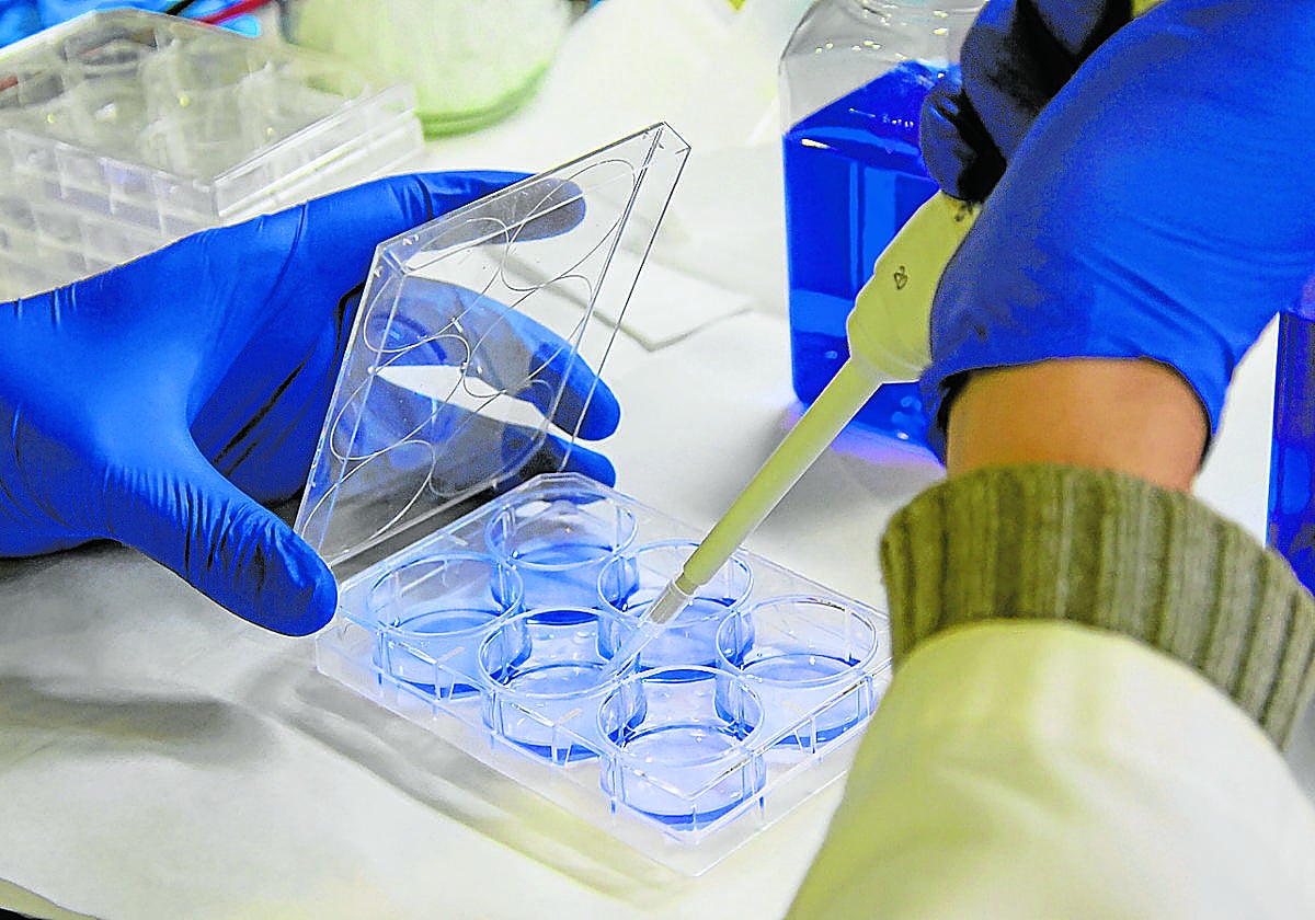 Elaboración de un fármaco para tratar el cáncer.