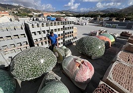 Manolo Ruiz, empleado de materiales Carbonell S.L., junto a las grandes piezas de fruta en el almacén.