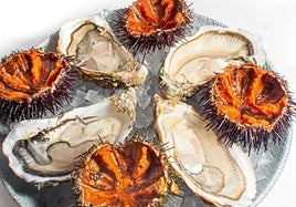 La bacteria come carne que se transmite por la ingesta de marisco crudo