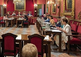 Las dos diputadas de Vox, a la derecha, en un pleno anterior del Ayuntamiento de Granada..