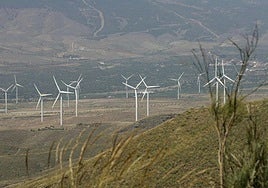 El GEM hará campaña en favor de las energías renovables para «poder creer» en un futuro mejor