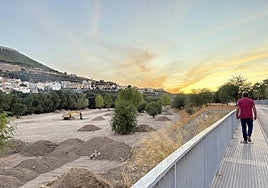 Imagen de los trabajos de renaturalización del Genil a su paso por Loja