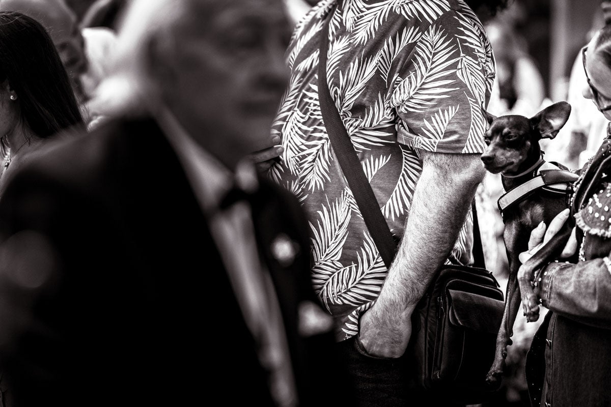 Las imágenes más íntimas de la procesión de la Virgen de las Angustias