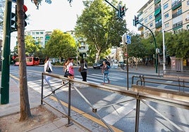 El nuevo paso de peatones es utilizado a diario por cientos de personas.