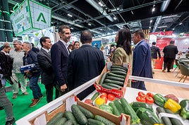 La Junta ofrece 22 millones para la transformación del proceso productivo del sector hortofrutícola