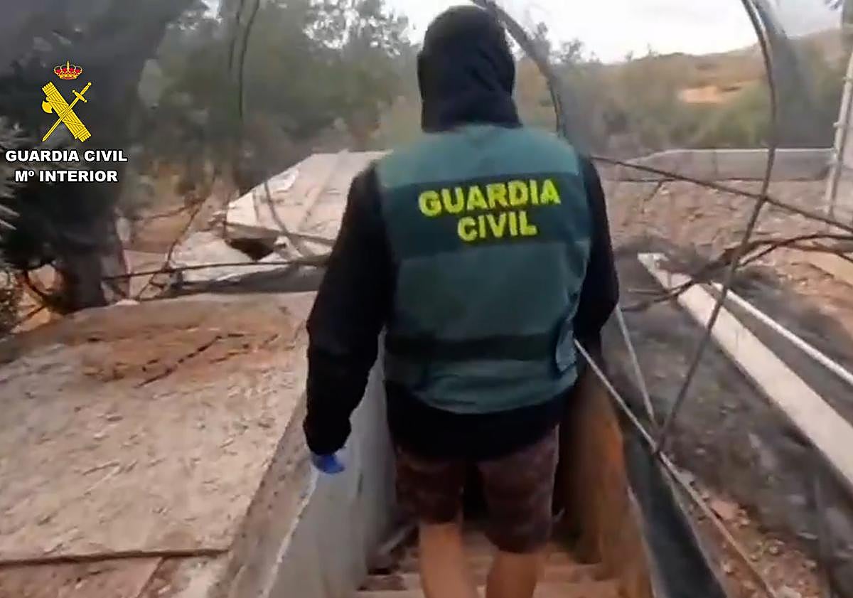 Imagen principal - Cae una red albanesa dedicada al tráfico de drogas en Roquetas de Mar