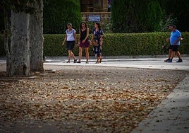 Conoce cuáles son los festivos de este otoño en Andalucía.