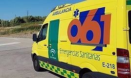 Muere un menor de 13 años tras sufrir un accidente en patín y otro de 8 está herido