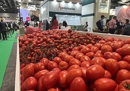 El tomate español se consagra como símbolo de excelencia en una edición histórica de Fruit Attraction