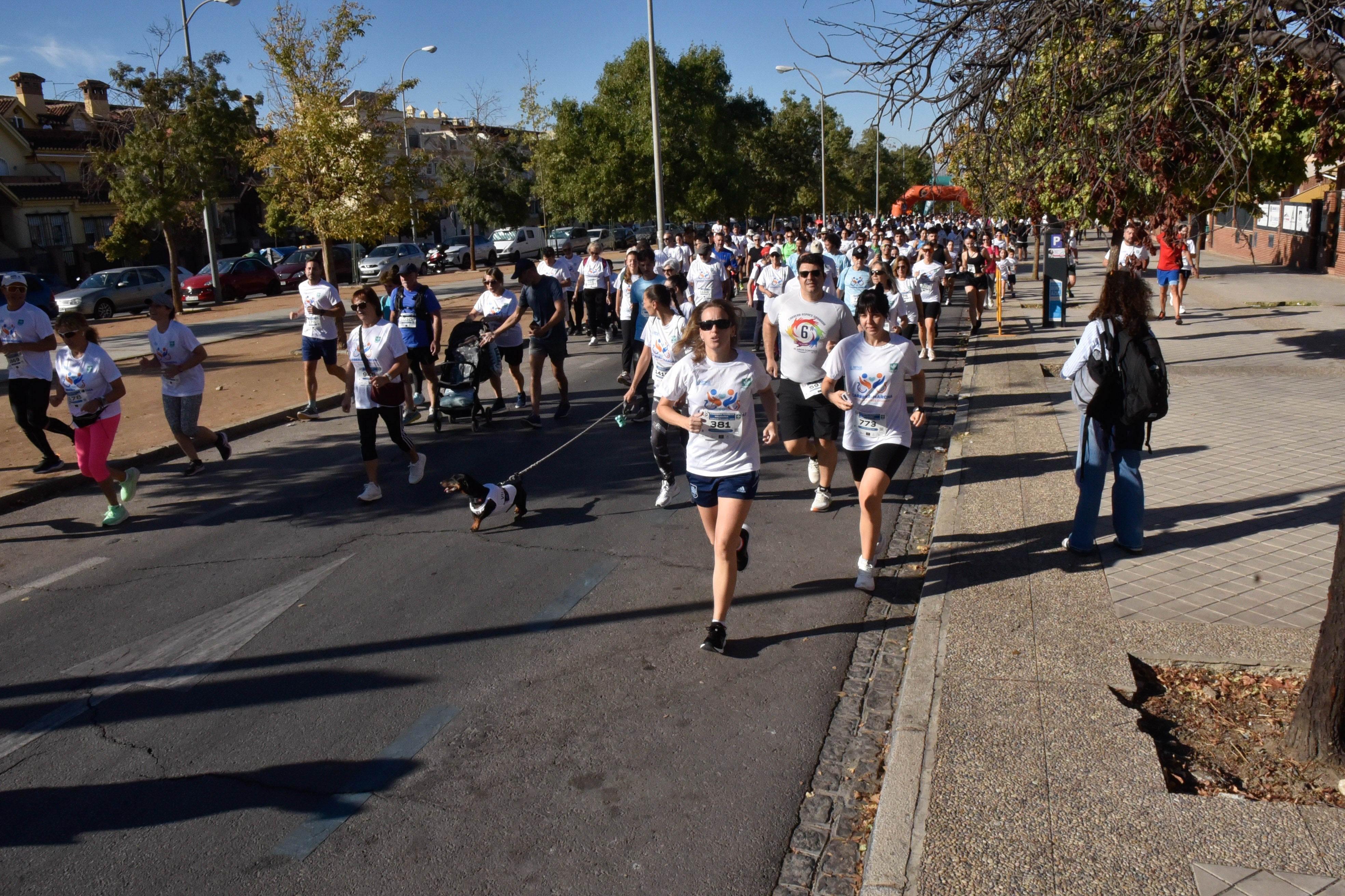 Encuéntrate en la carrera de Aspace en Granada